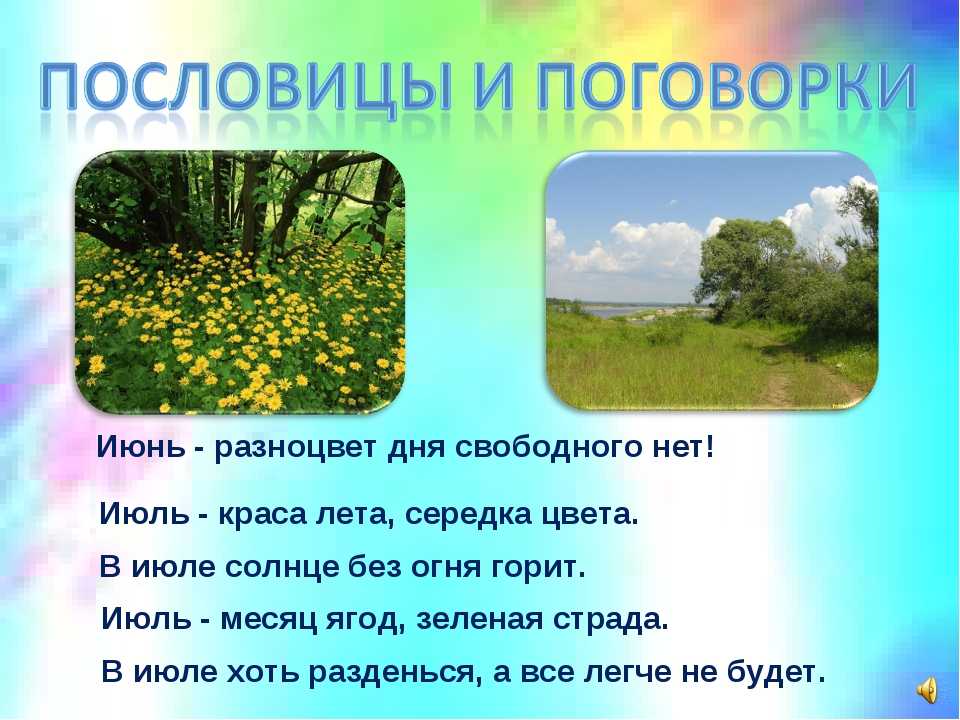 Мое любимое время года лето 2 класс. Пословицы и поговорки о лете. Поговорки о лете для детей. Поговорки про июнь. Поговорки о лете для дошкольников.