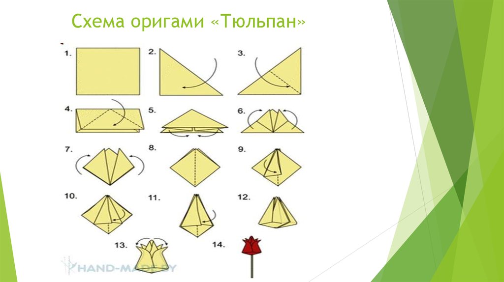 Оригами тюльпана из бумаги схема пошаговая инструкция