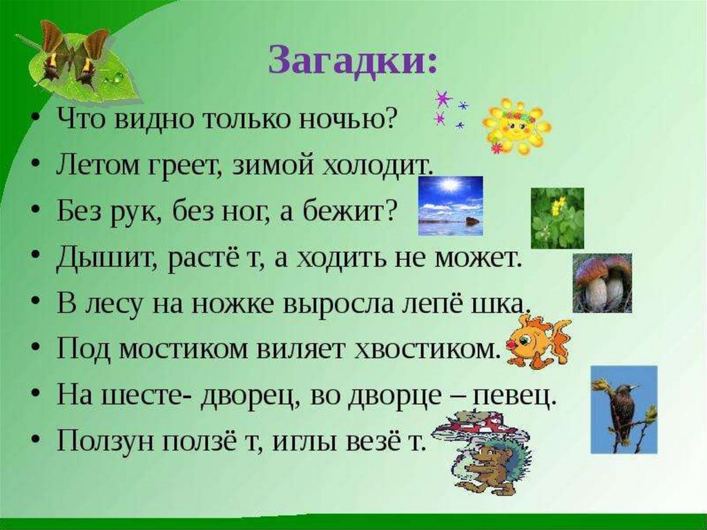 Загадки природы картинки