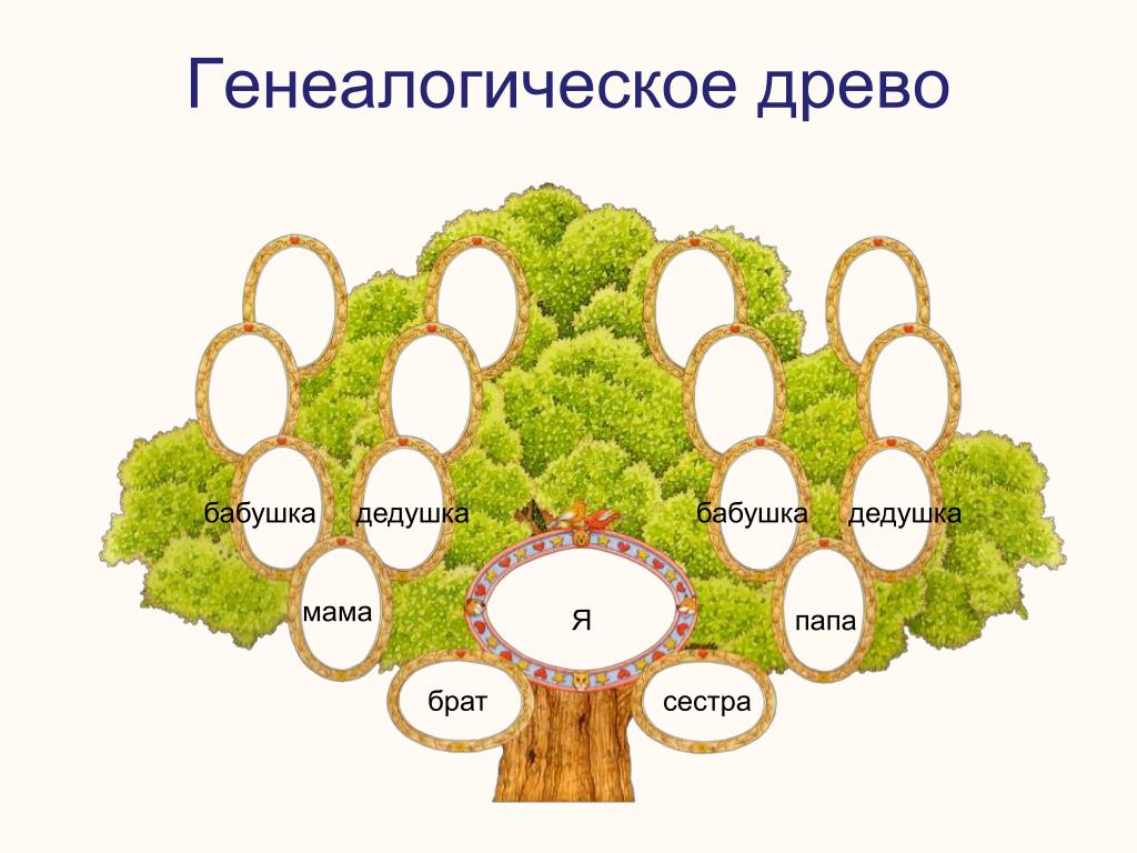 Проект на тему генеалогическое древо 3 класс