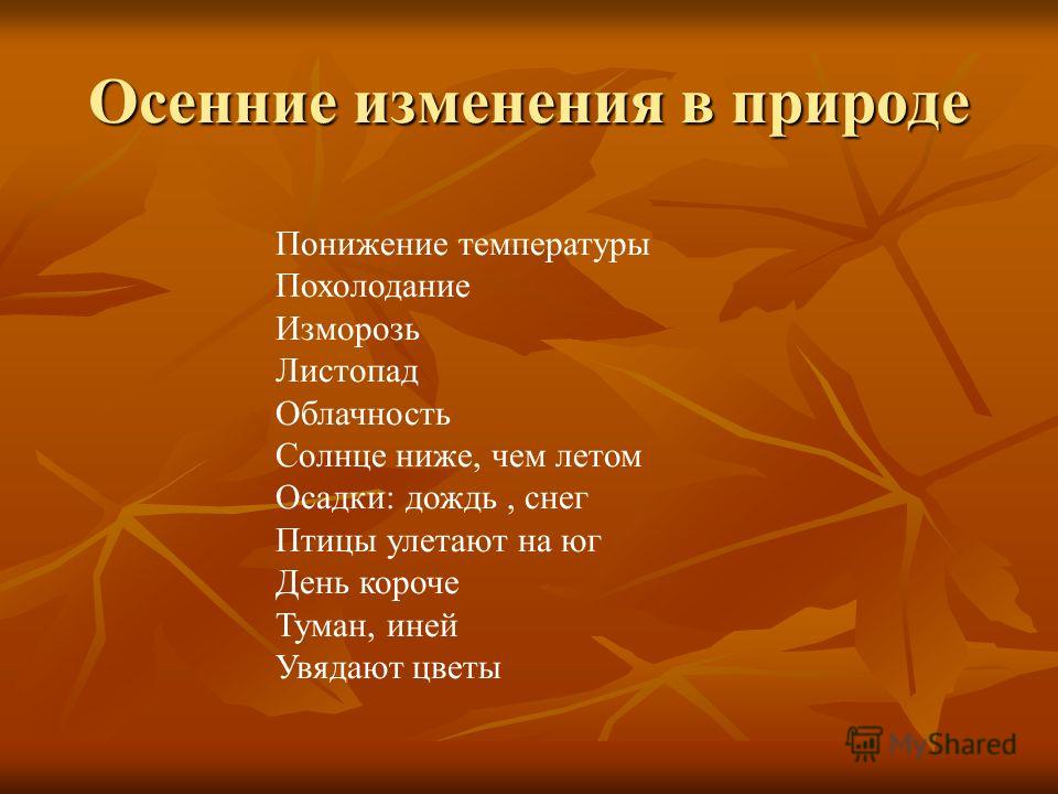 Наступила Осень К Какому Относится Стилю Речи