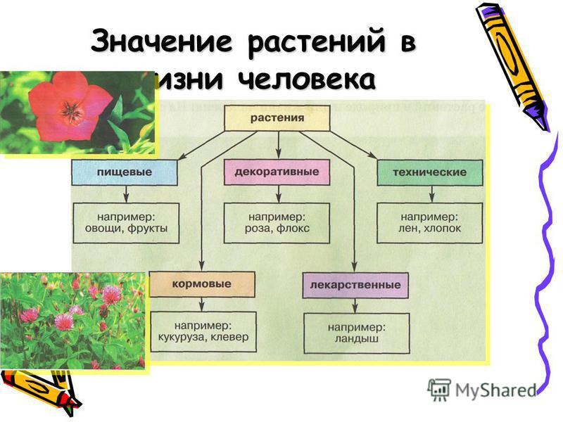 Приложения для создания человека как в реальной жизни