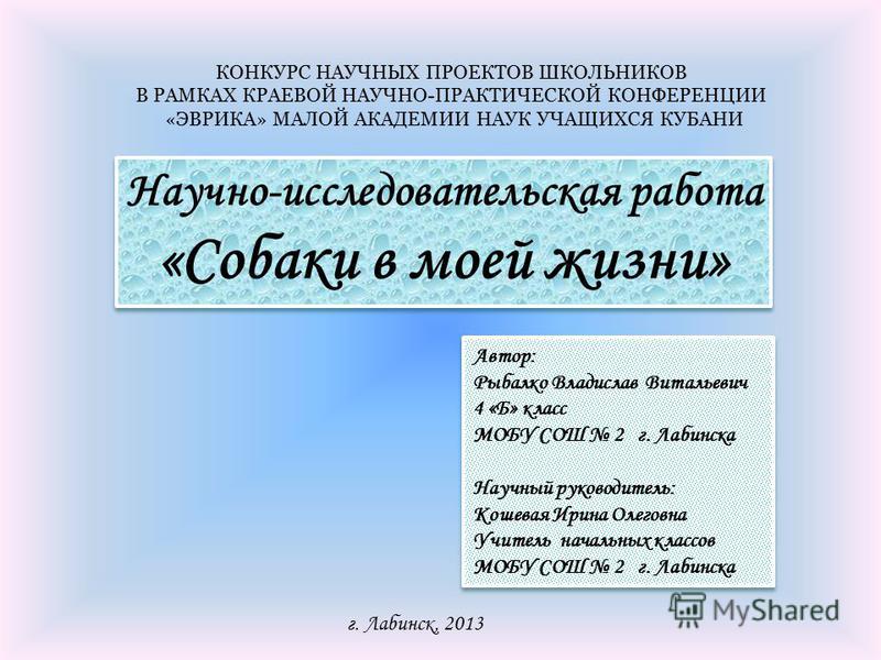 Исследовательская работа по литературе 7 класс готовые проекты