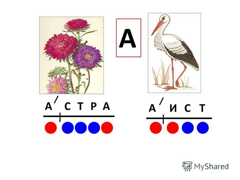 Картинка мак для детей обучение грамоте