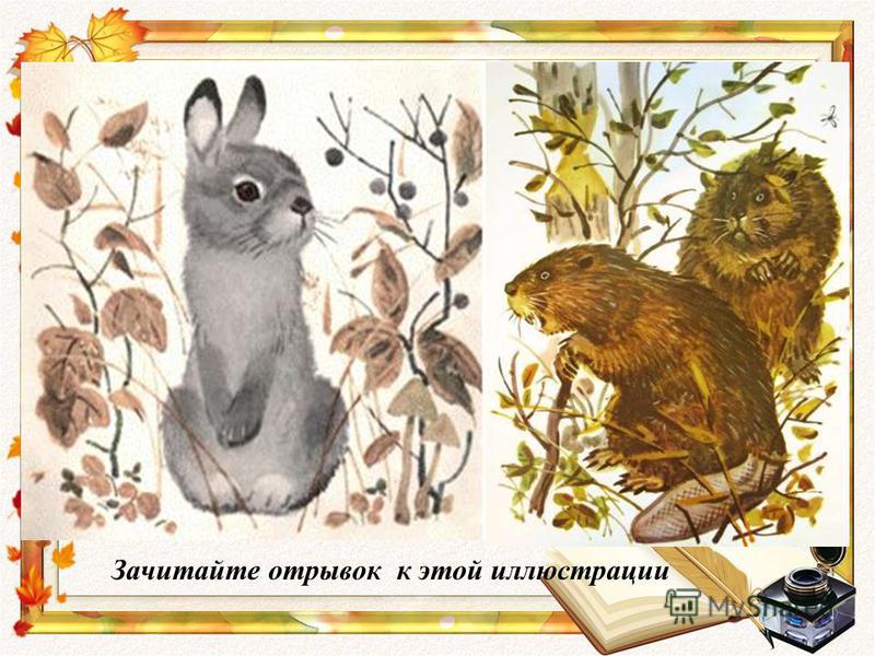 Листопадничек соколов микитов читать полностью с картинками