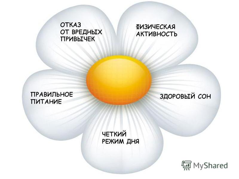 Сценарий круглого стола для пожилых