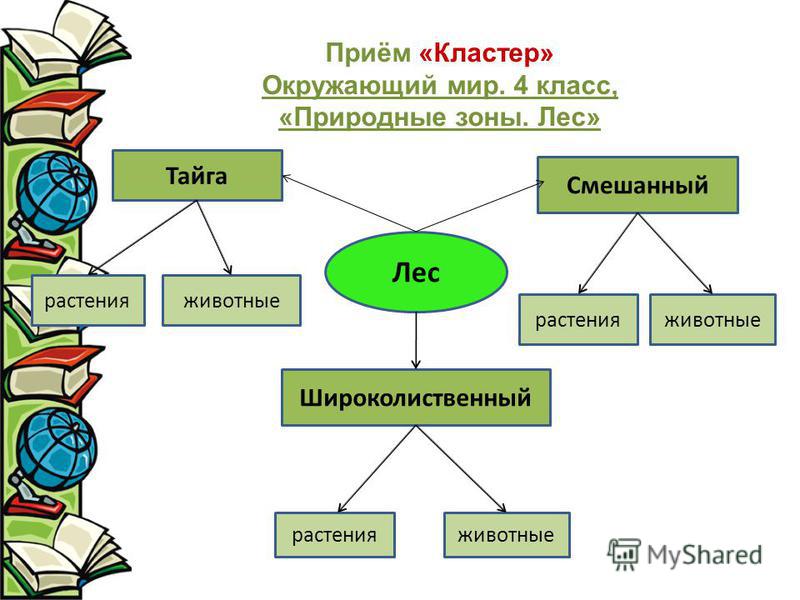 Конспект урока 2 класс природа