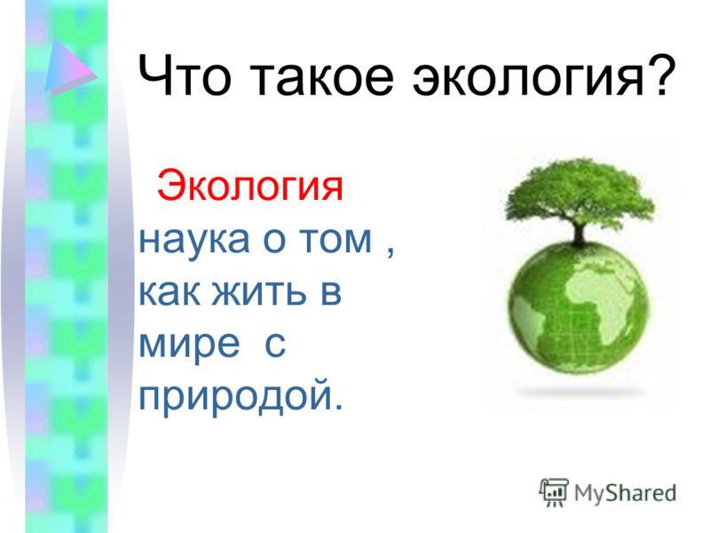 Загадки по экологии для дошкольников с картинками