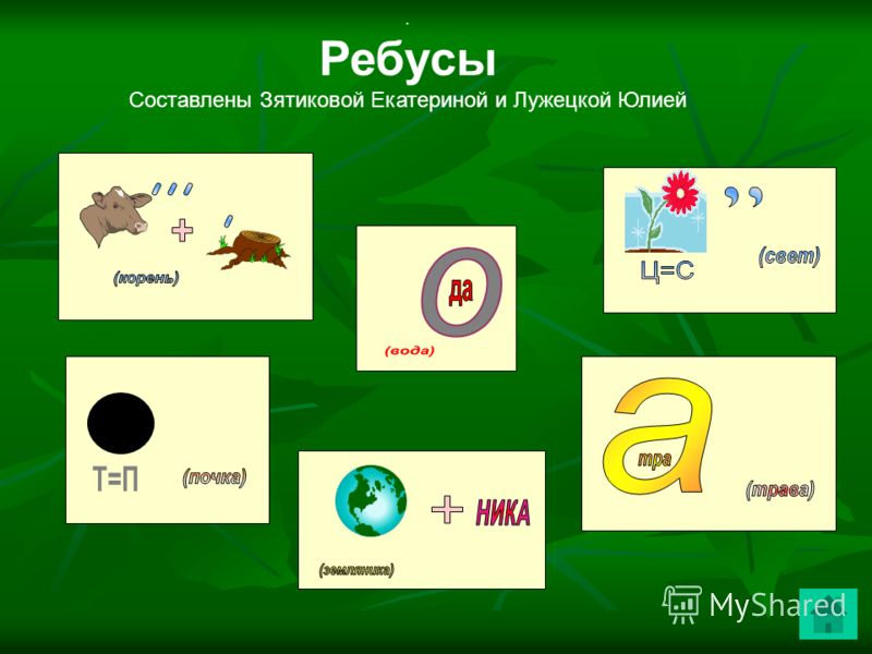 Ребусы по биологии. Ребусы биология. Биологические ребусы. Ребусы по биологии с ответами.