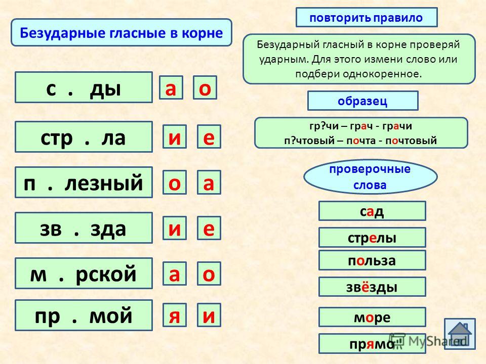 Приложение к учебнику безударную гласную корня можно проверить словом приложит