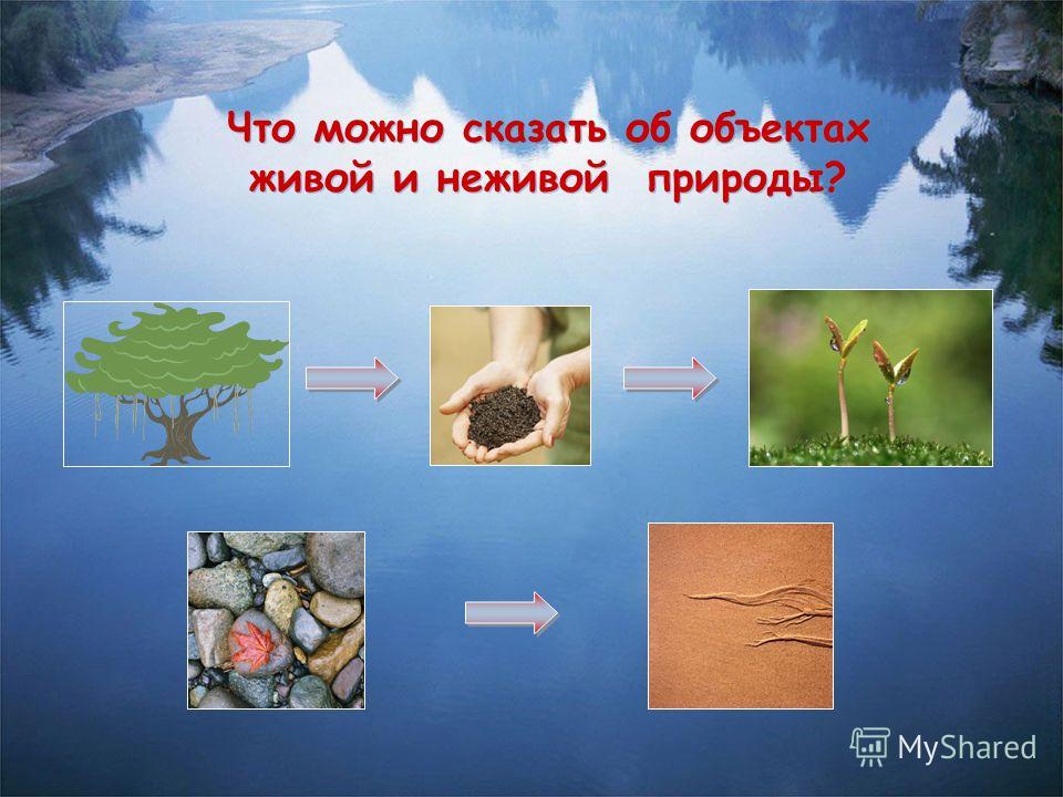 Объекты природы окружающий мир 2 класс