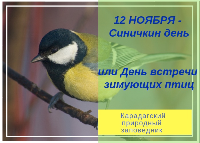 Синичкин день 12. День встречи зимующих птиц Синичкин день. 12 Ноября день встречи зимующих птиц. Синичкин день исконно русский праздник день встречи зимующих птиц. 12 Ноября Синичкин день день встречи.