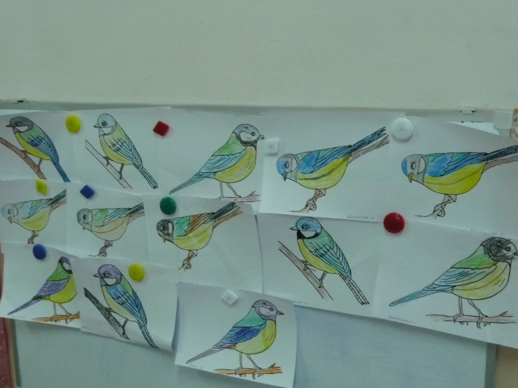 Занятие рисование перелетные птицы. Рисование перелетные птицы подготовительная группа. Рисование птицы в ср гр. Рисование птицы в подготовительной группе. Рисование птицы в старшей группе.