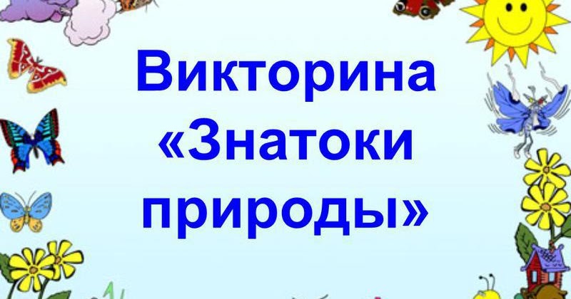 Викторина по экологии в старшей группе презентация