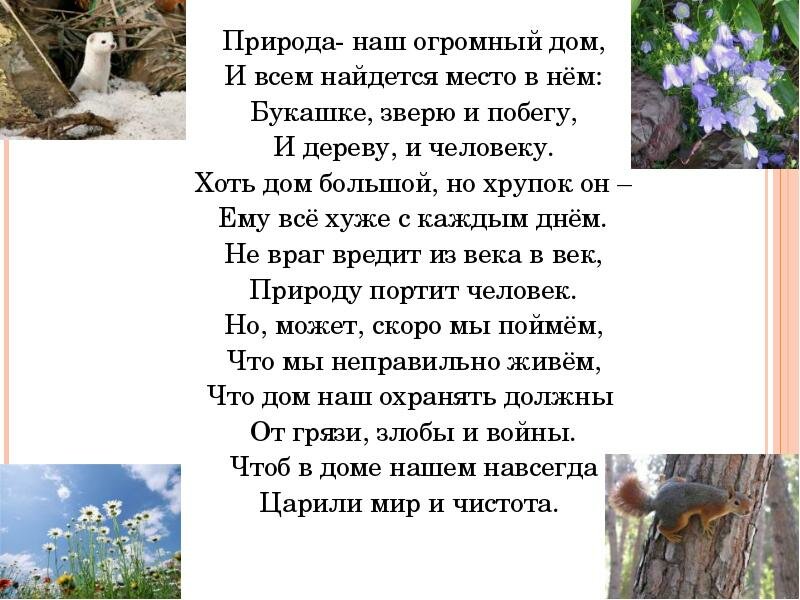 Стих об охране природы. Стихи о природе. Стихи о природе для детей. Стихотворение о защите природы. Детские стихи о природе.