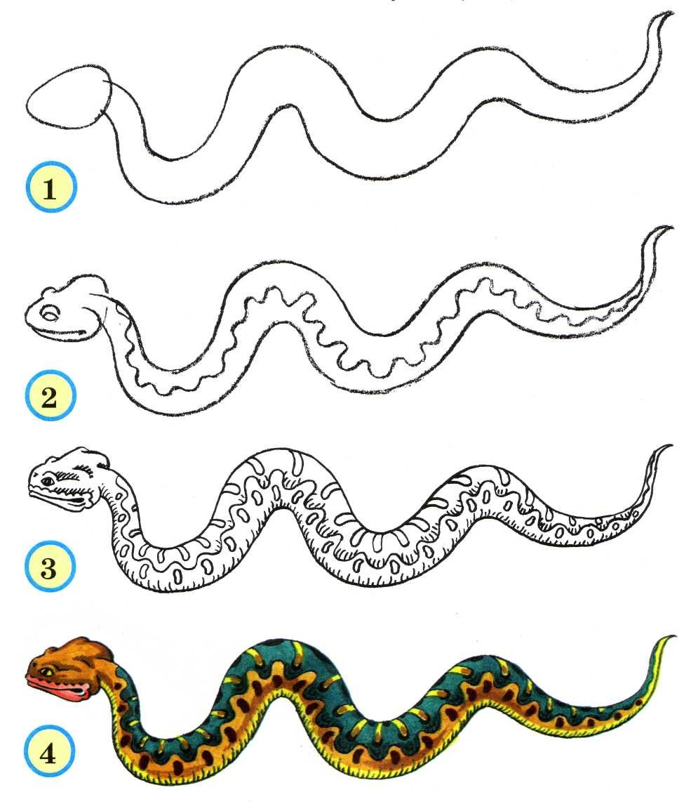 Змея рисунок для детей простой