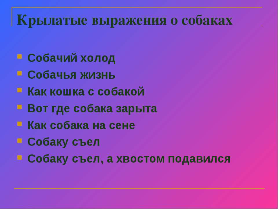 Пословица со словом друг. Пословицы и поговорки о собаках. Пословицы про собак. Поговорки про собак. Пословицы про собаку и человека.