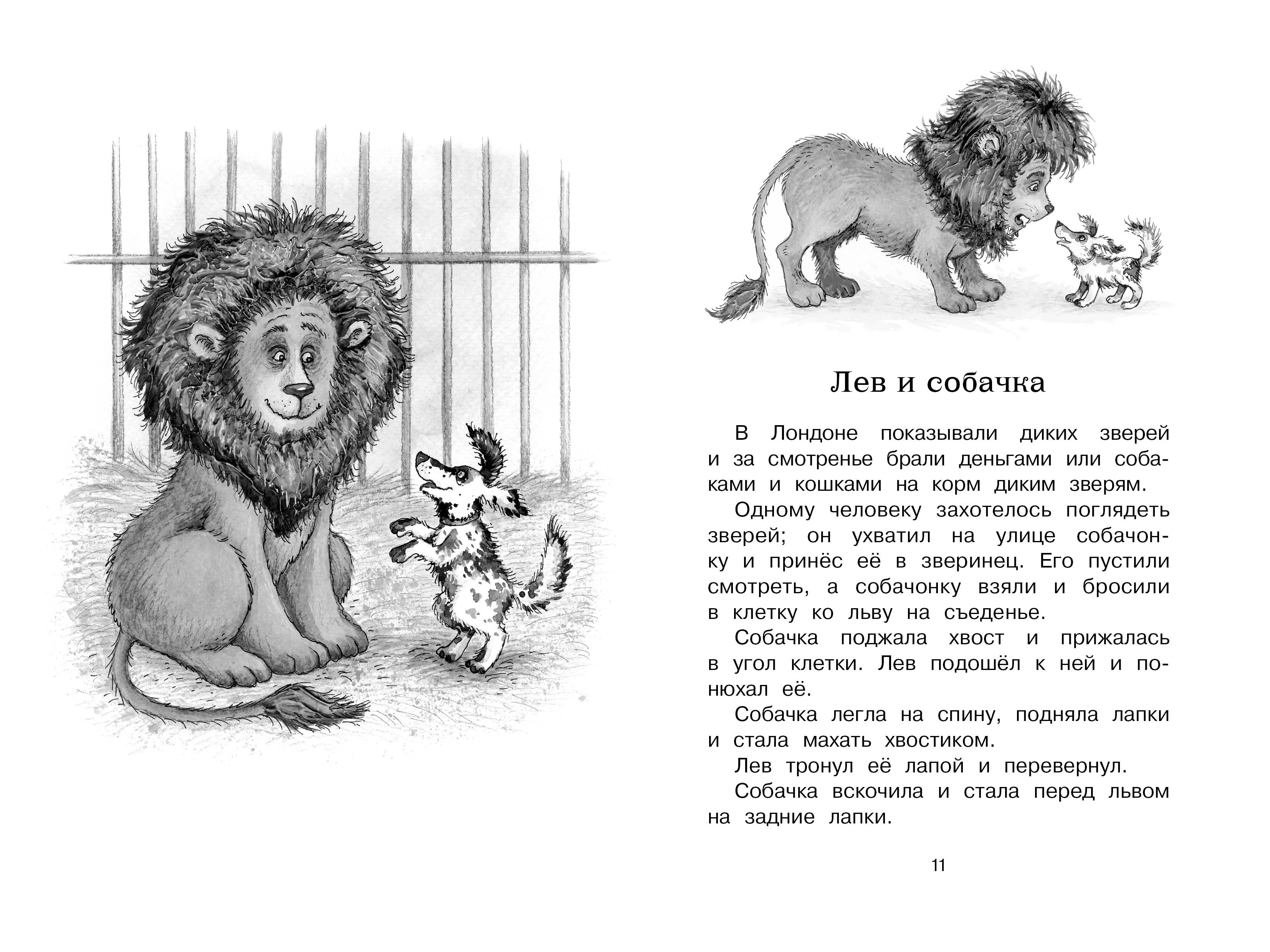 Сказка Льва Николаевича Толстого Лев и собачка