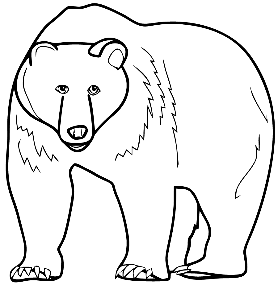 Медвед раскраска доля детей