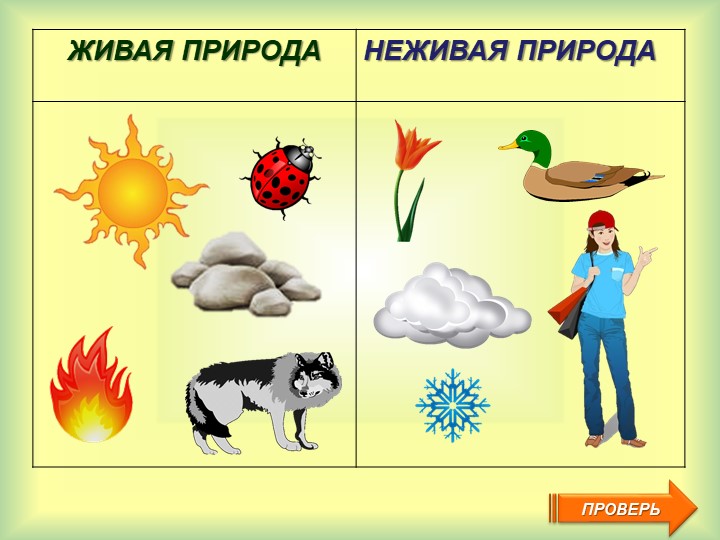 Конспект по природе