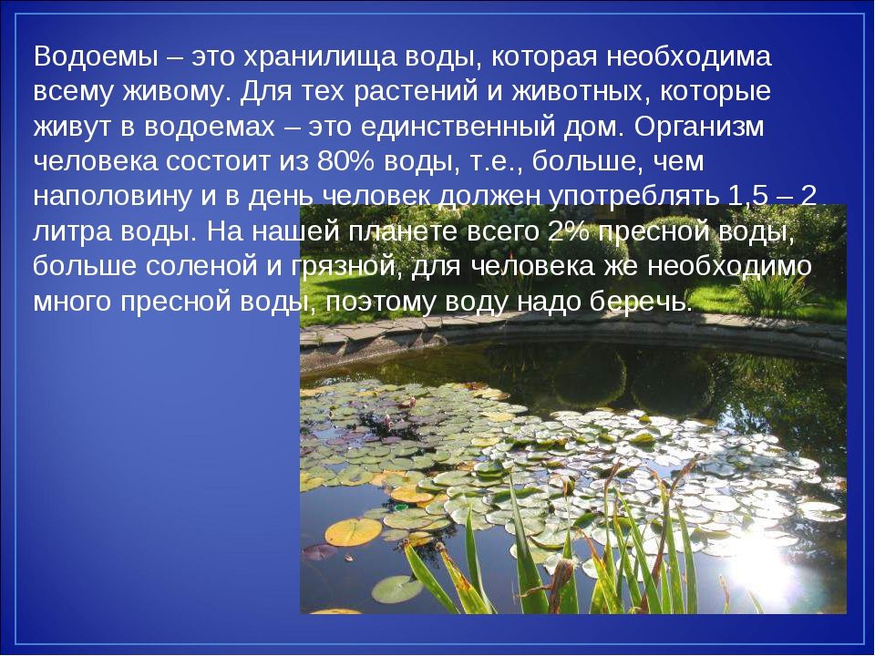 Содержание отчего берега. Рассказ о водоеме. Доклад о водоемах. Презентация на тему водоемы. Доклад на тему водоемы.