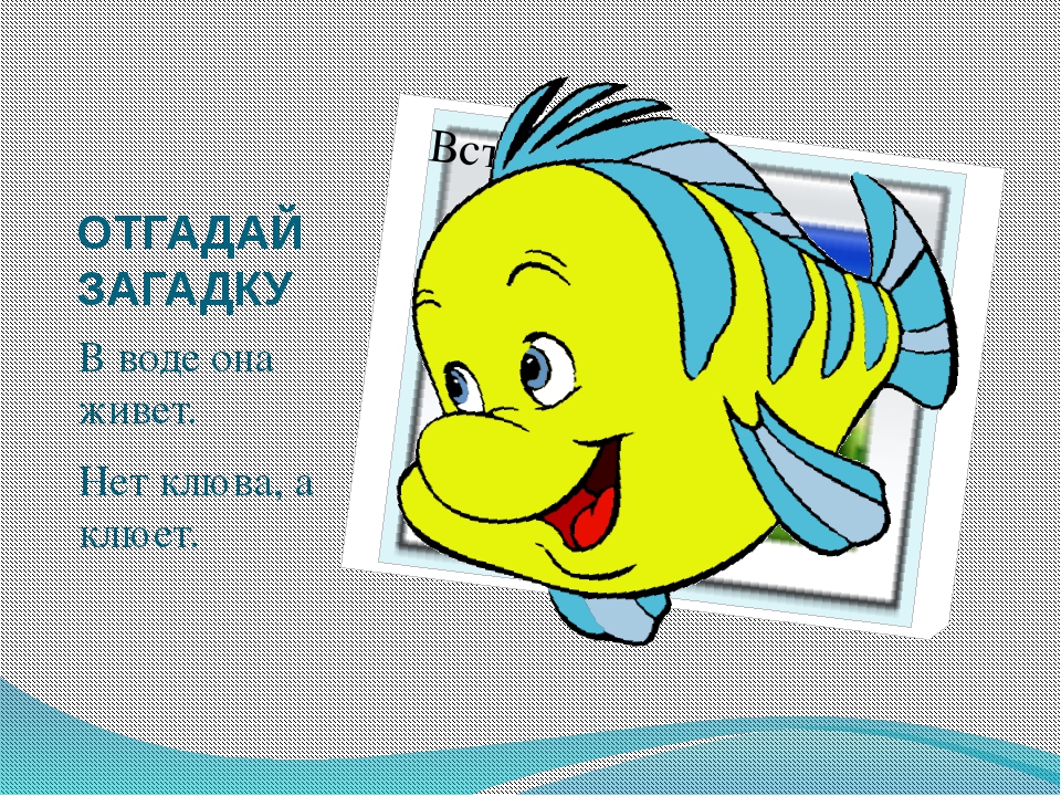 Загадки о воде окружающий мир. Загадки про воду для малышей. Картинки загадки о воде для детей. Загадки о воде для детей 2-3 лет. Загадки о водном мире для детского сада.