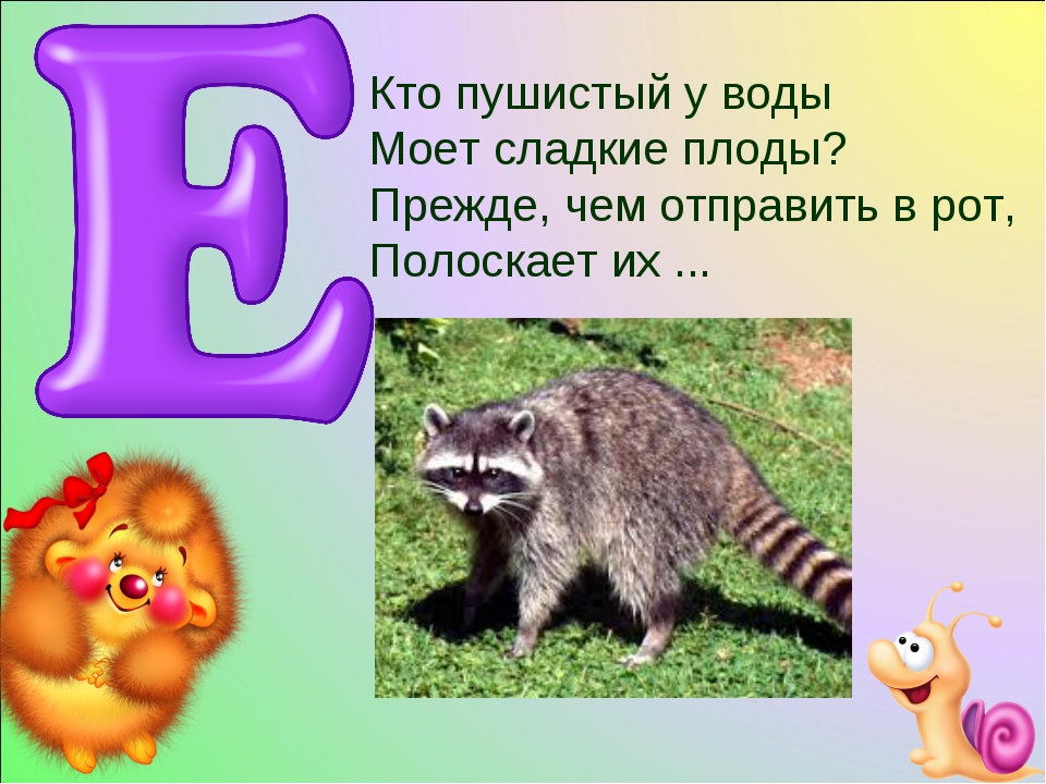 5 букв б е. Загадки о животных. Загадки про животных 1 класс. Проект загадки про животных. Загадки для первого класса про животных.