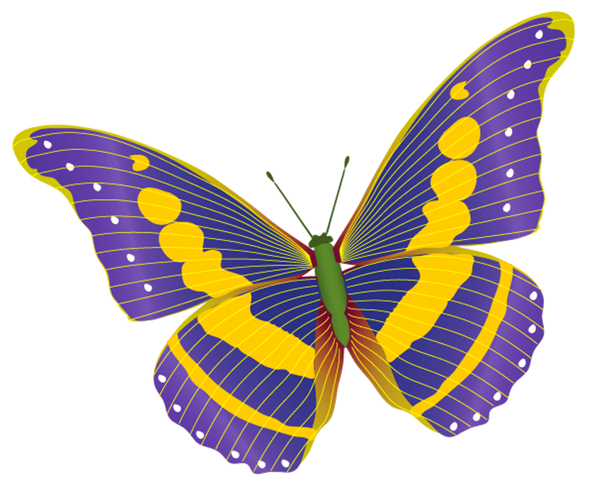 Бабочка в садик. Бабочки цветные. Цветные бабочки для детей. Бабочка картинка для детей.