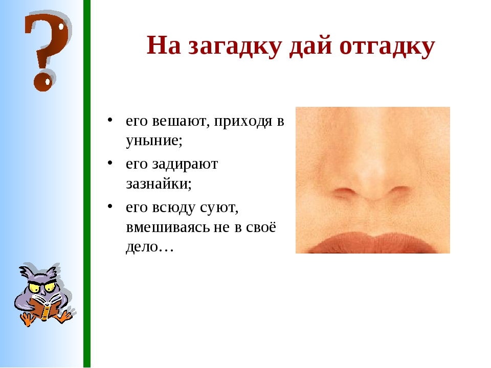 Давай загадку дам. Загадка про нос. Загадка с ответом нос. Загадка про нос для дошкольников. Загадка про нос для детей.