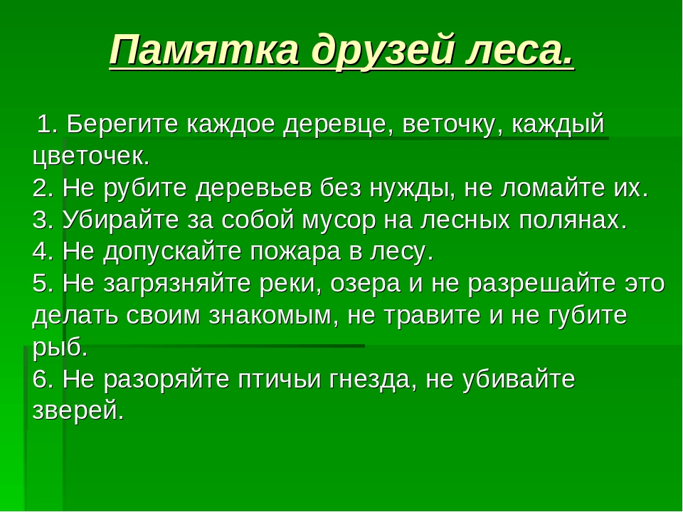 Защита проекта берегите природу