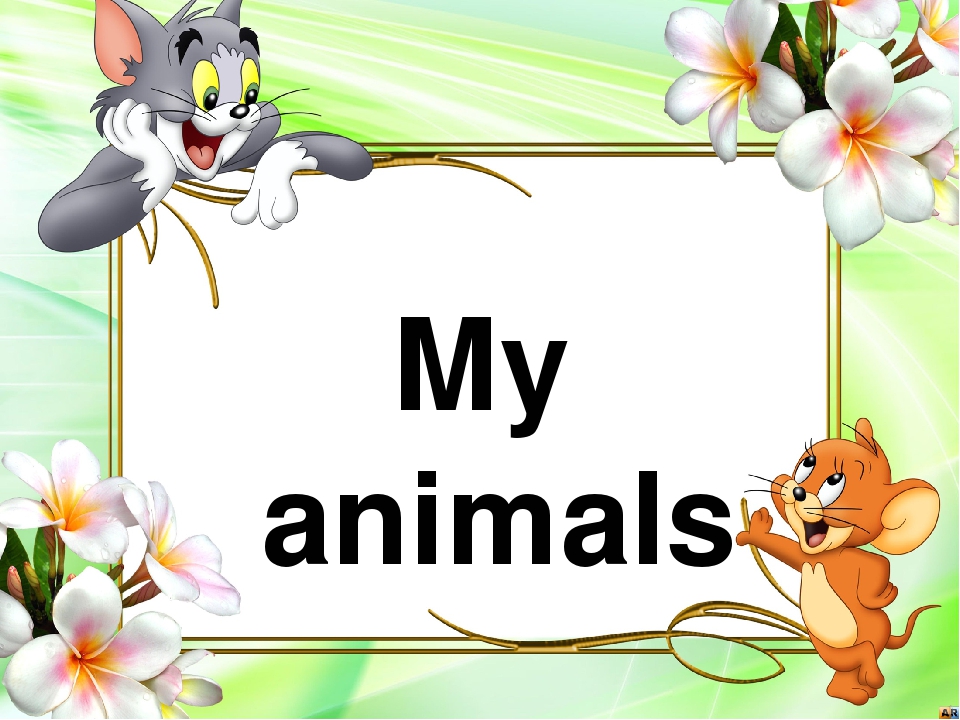 Презентация my animals 2 класс spotlight