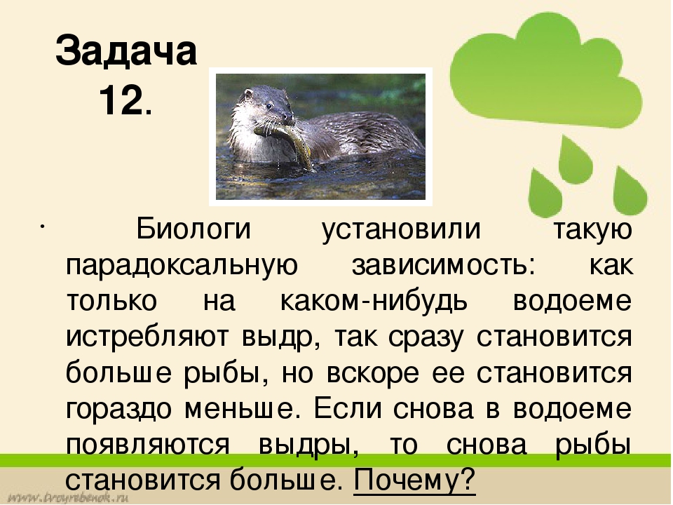 Экологические задачи. Решение экологических задач. Задачи по экологии. Решение задач по экологии.