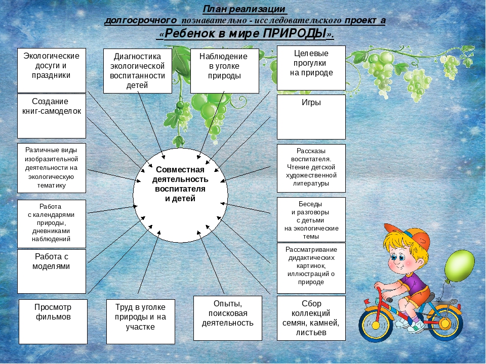 Долгосрочный проект. План проекта для дошкольника. Долгосрочный проект в детском саду. Долгосрочный проект для малышей. Отчёт по проекту малыш в мире природы.