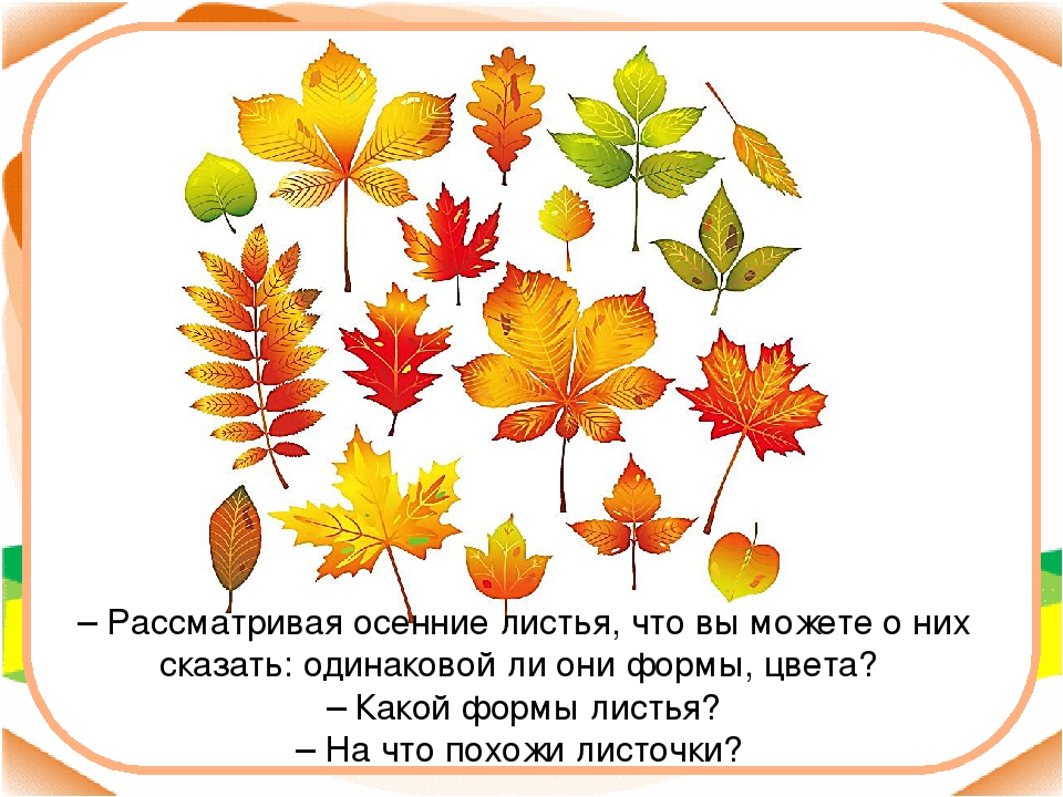 Конспект хорошее 2 класс школа россии. Изо рисование осеннего листа. Урок рисования 1 класс осенние листочки. Презентация осенние листья 1 класс. Листики для второго класса.