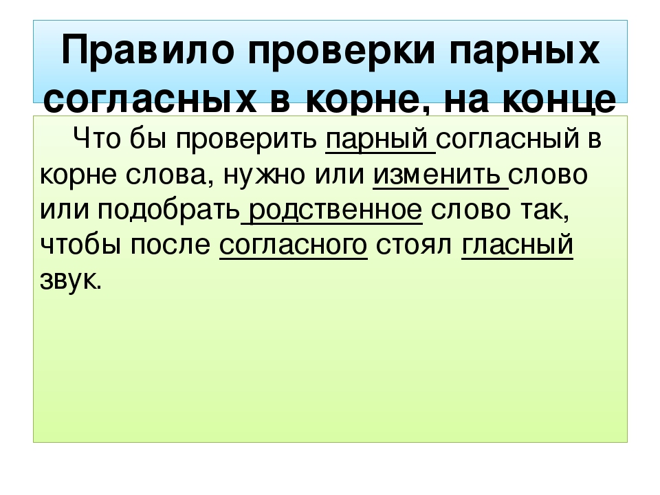 Правило парной согласной. Правило проверки парной согласной в корне слова 2 класс. Правило проверки парных согласных в корне. Правило проверки парных согласных в корне слова 2 класс. Правило как проверить парную согласную.