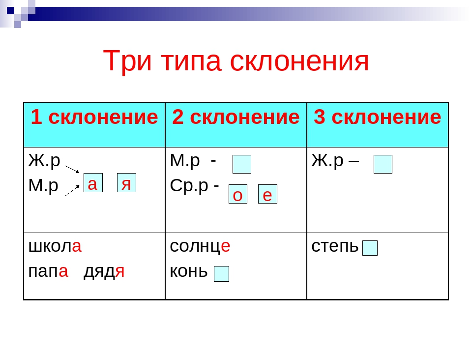 Презентация 5 класс три склонения имен существительных