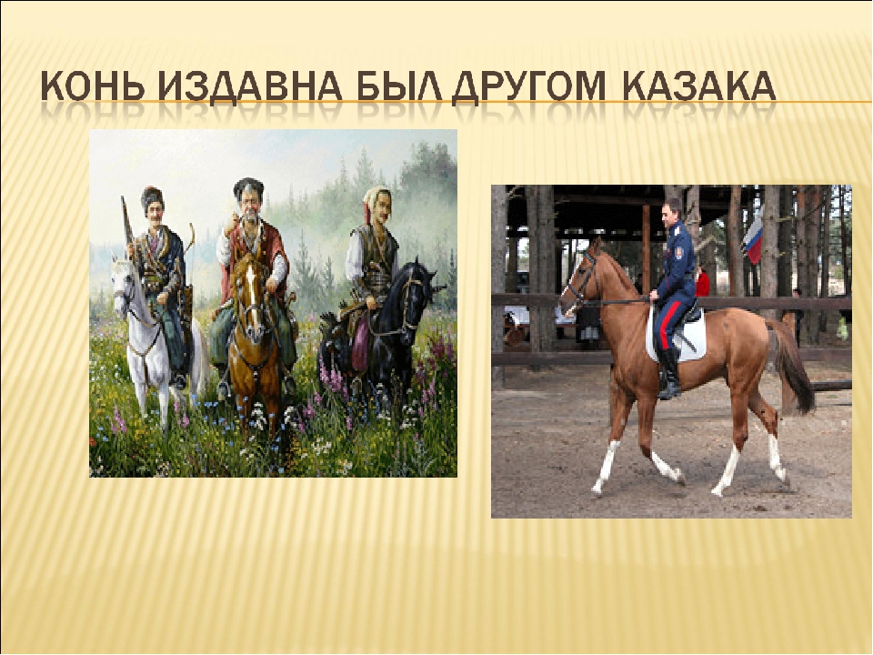 В каком году произошли казаки. Казачество презентация. Донские казаки презентация. Презентация про Казаков. Презентация на тему Донское казачество.