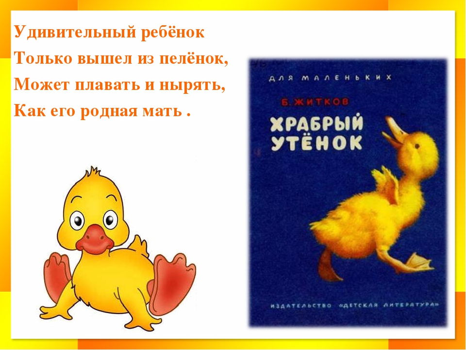 Литературное чтение 2 класс учебник храбрый утенок. Литературное чтение 2 класс Житков Храбрый утенок. Храбрый утенок б Житков 2 класс. Удивительный ребенок только вышел из пеленок может плавать и нырять. Утенок 2 класс.