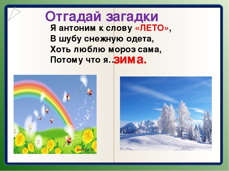 Зимой и летом одним цветом загадка. Загадки с антонимами. Загадки на тему антонимы. Загадки про синонимы. Загадки с противоположными словами.