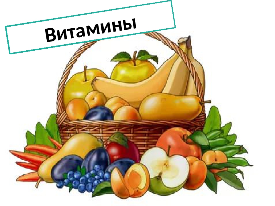 Овощи и фрукты полезные продукты рисунок на конкурс