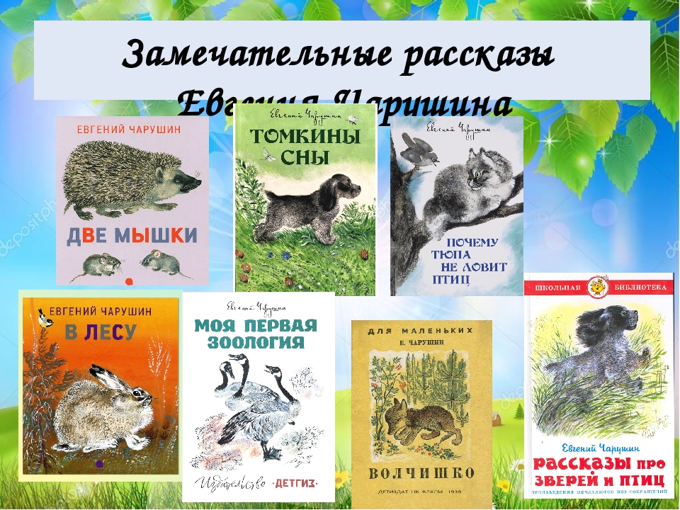 Е чарушин рассказы. Чарушин рассказы про зверей и птиц. Произведения Евгения Чарушина 1 класс. Произведения Чарушина 1 класс. Произведения е.Чарушина для детей 2 класса.