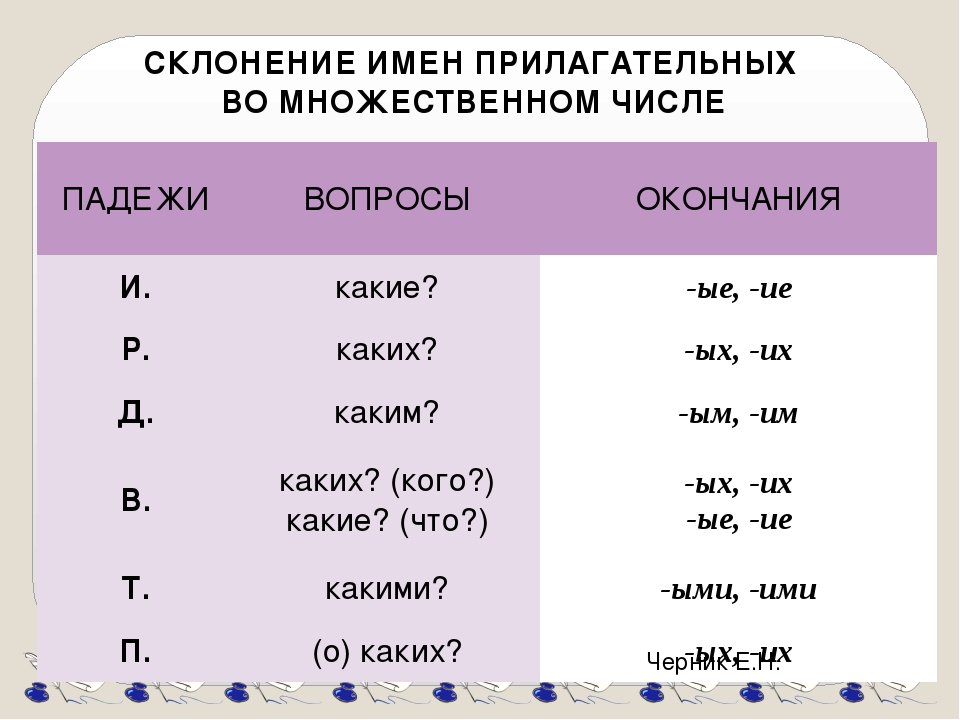 Определи склонение существительного пироги