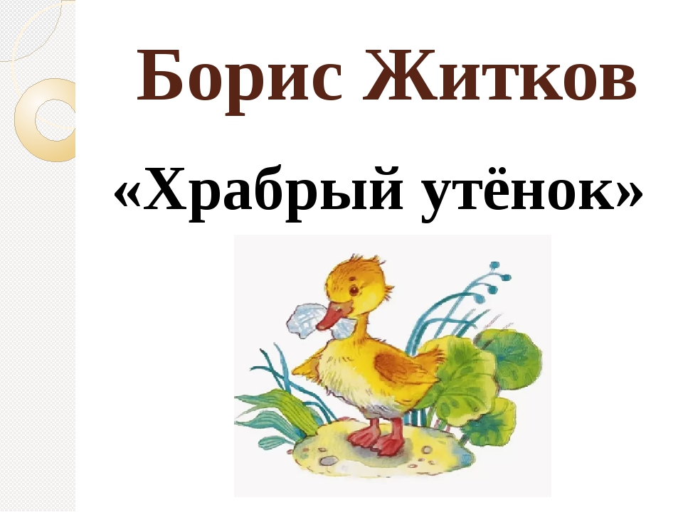 Рассказ храбрый утенок 2 класс. Храбрый утёнок Борис Житков. Борис Степанович Житков Храбрый утенок. Храбрый утёнок Борис Житков читательский дневник. Борис Житков про утенка.