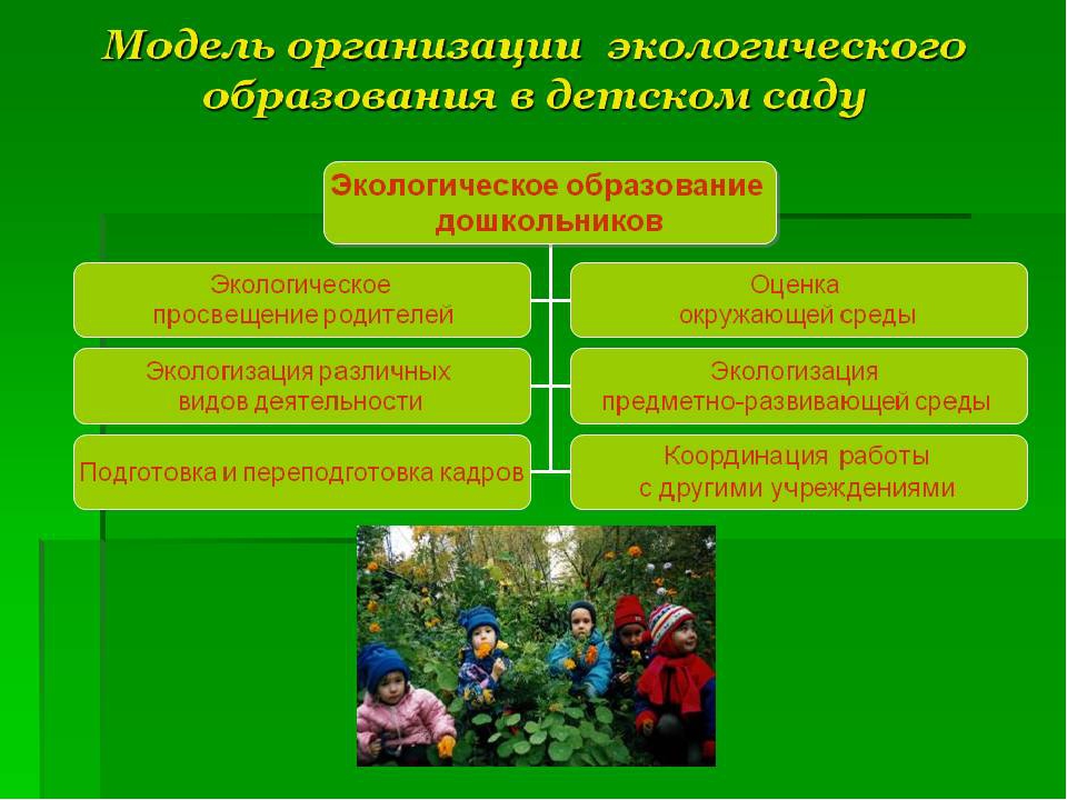 Проект экологическое воспитание школьников