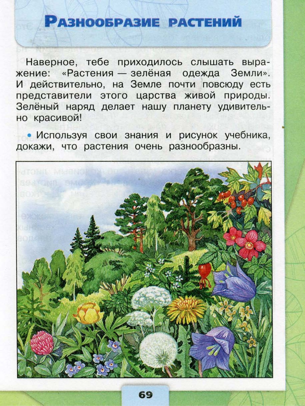 Окружающий 3 класс страница 67. Растения 3 класс окружающий. Учебник окружающий мир растения. Окружающий мир Плешаков растения.