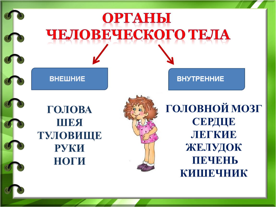 Конспект урока и презентация по окружающему миру