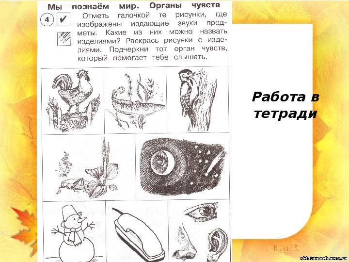 План конспект урока по окружающему миру 3 класс