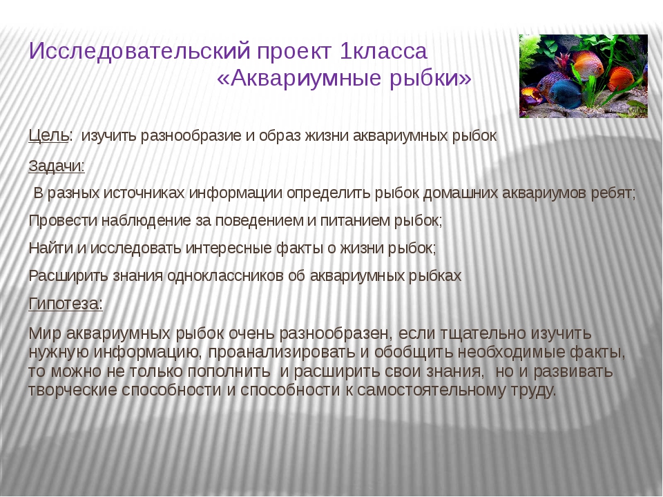 Исследовательский проект в начальной школе примеры