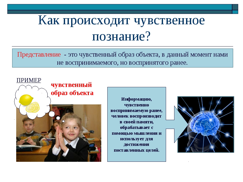 Человек познает мир 6 класс. Чувственное познание представление. Представление. Чувственное представление это. Чувственное познание окружающего мира.