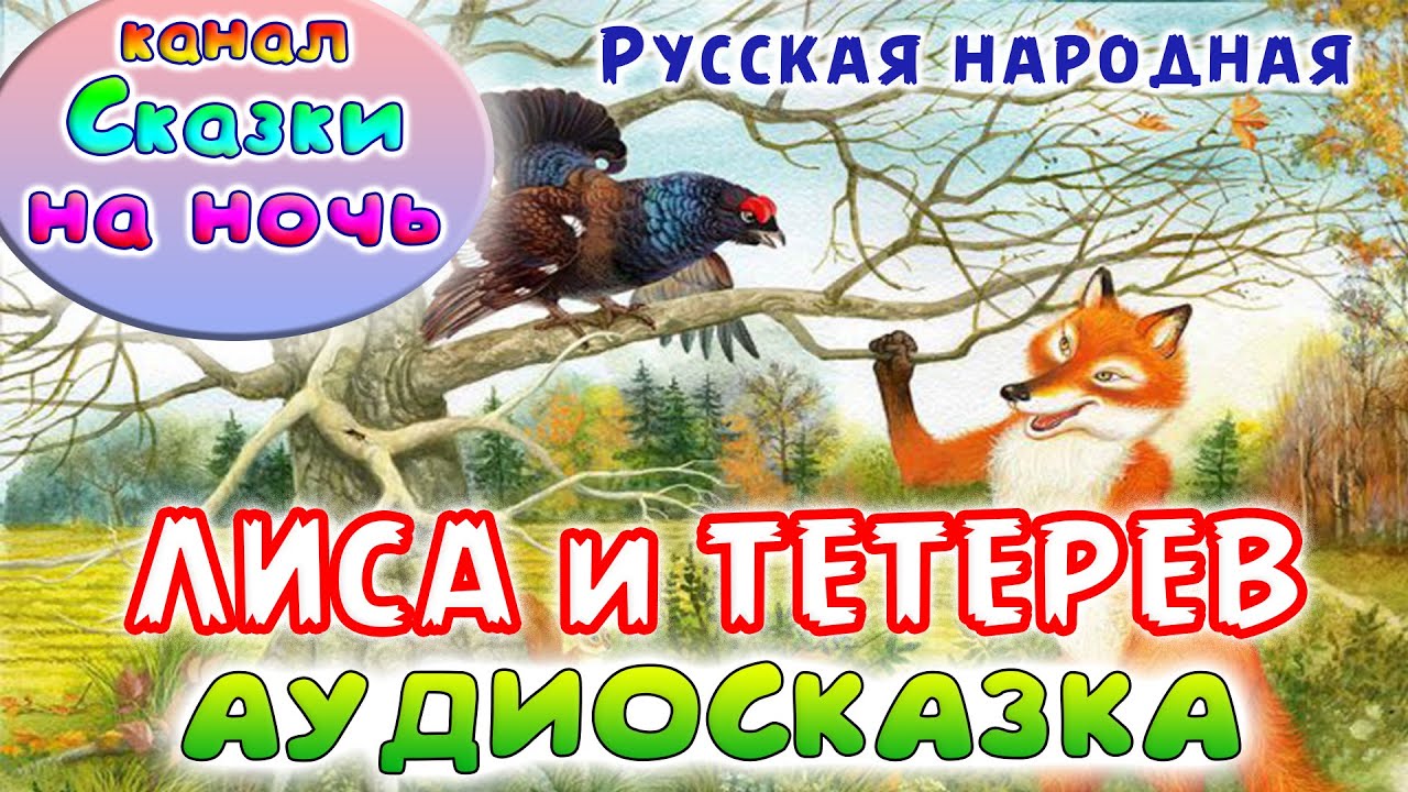 Сказка лиса и тетерев читать. Рисунок к сказке лиса и тетерев 1 класс. Лиса и тетерев русская народная сказка иллюстрация.